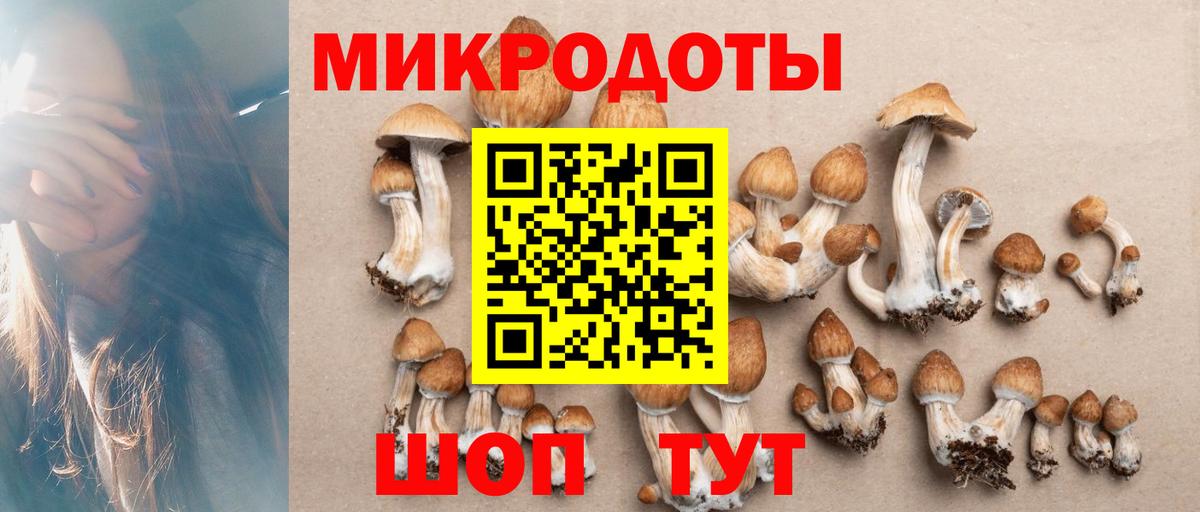 Галлюциногенные грибы ЛСД Пермь